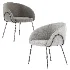 Xander Fabric Dining Chair - Thumbnail 1