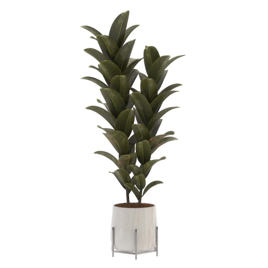indoor-plant-008 - Image 1