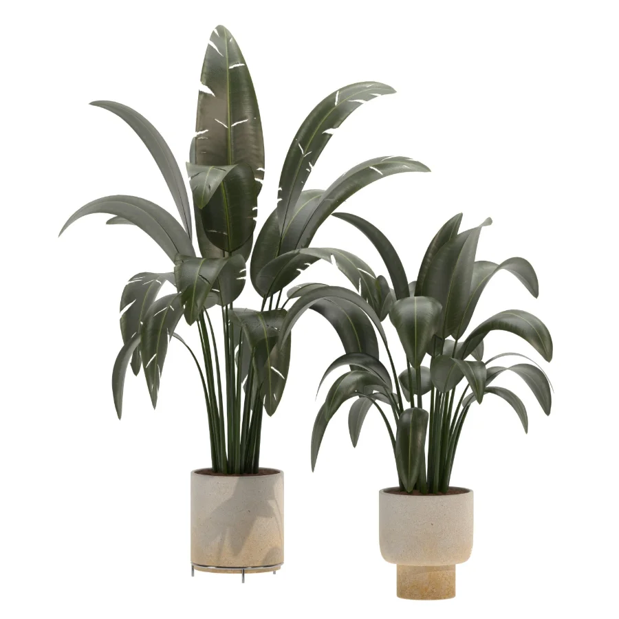 indoor-plant-025 - Image 1