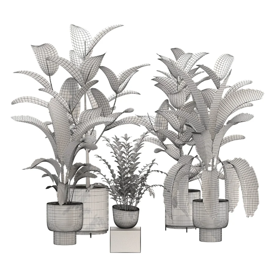 indoor-plant-018 - Image 4