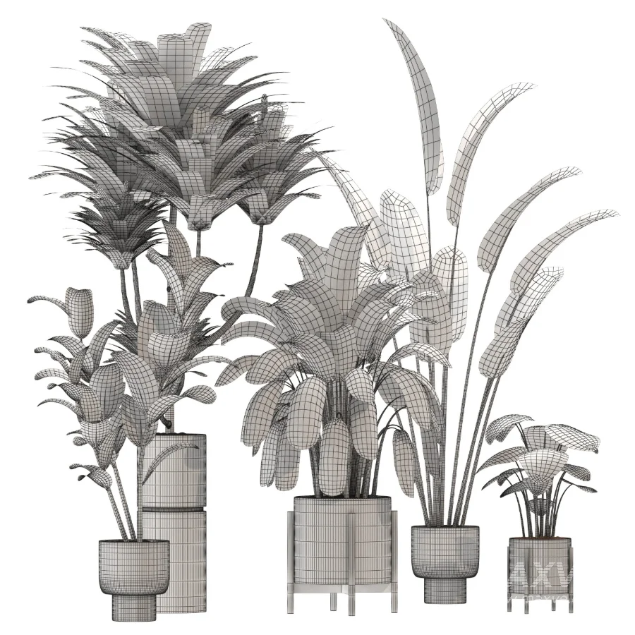 indoor-plant-020 - Image 4