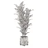 indoor-plant-008 - Thumbnail 2