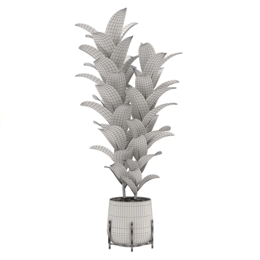 indoor-plant-008 - Image 2