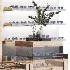 showcase 07 eyeglasses store optics - Thumbnail 4