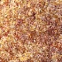 AV Plant Citrus Meyer Lemon Fruit Tree 01 - Thumbnail 12