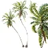 AV Plant Cocos Nucifera Palm Tree 01 - Thumbnail 1
