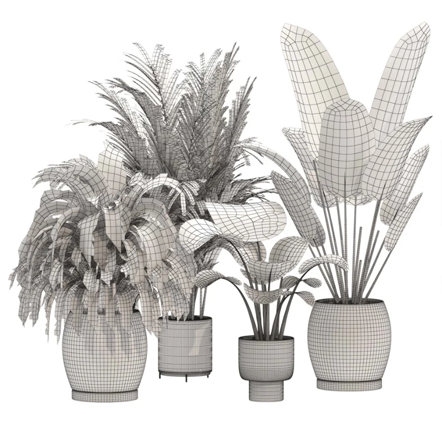indoor-plant-019 - Image 3