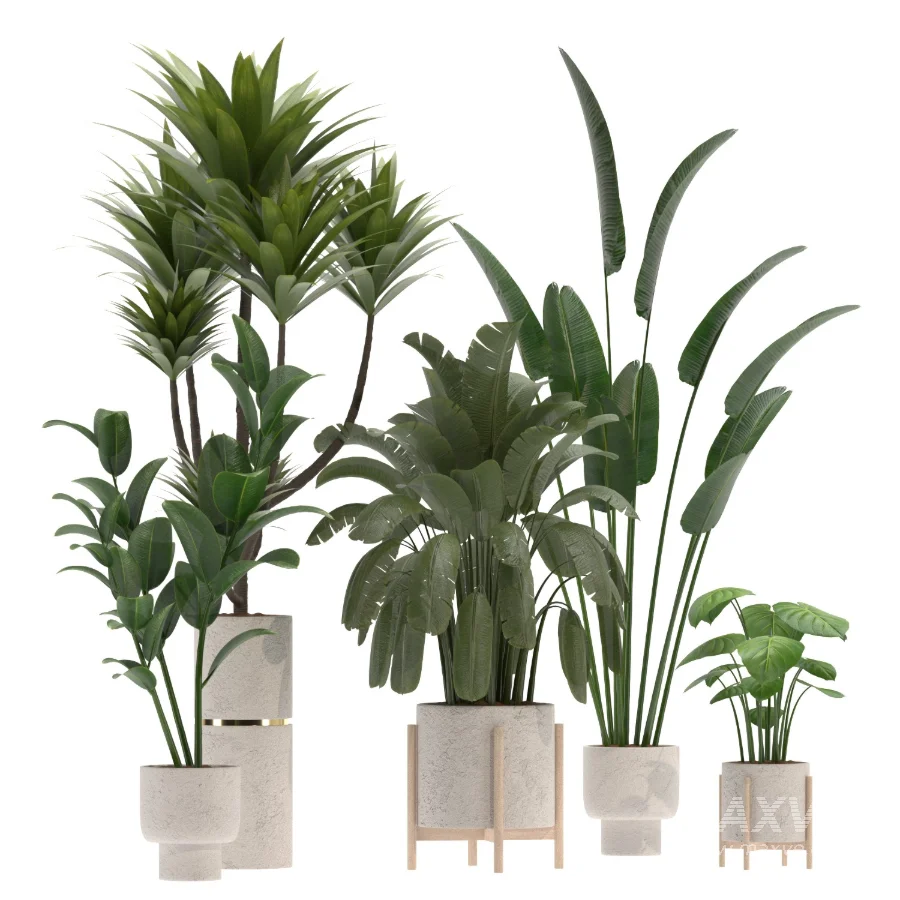 indoor-plant-020 - Image 2