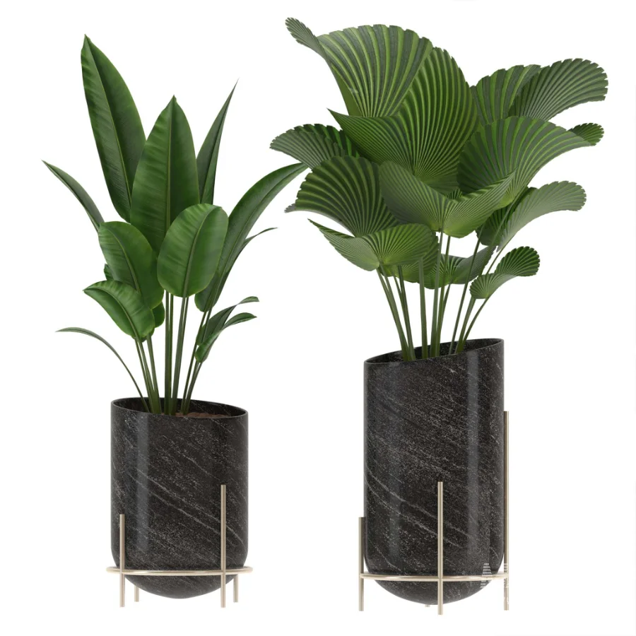 indoor-plant-011 - Image 2