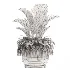 indoor-plant-021 - Thumbnail 3