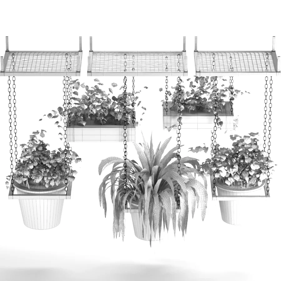 Hanging Plant 04 - Image 1