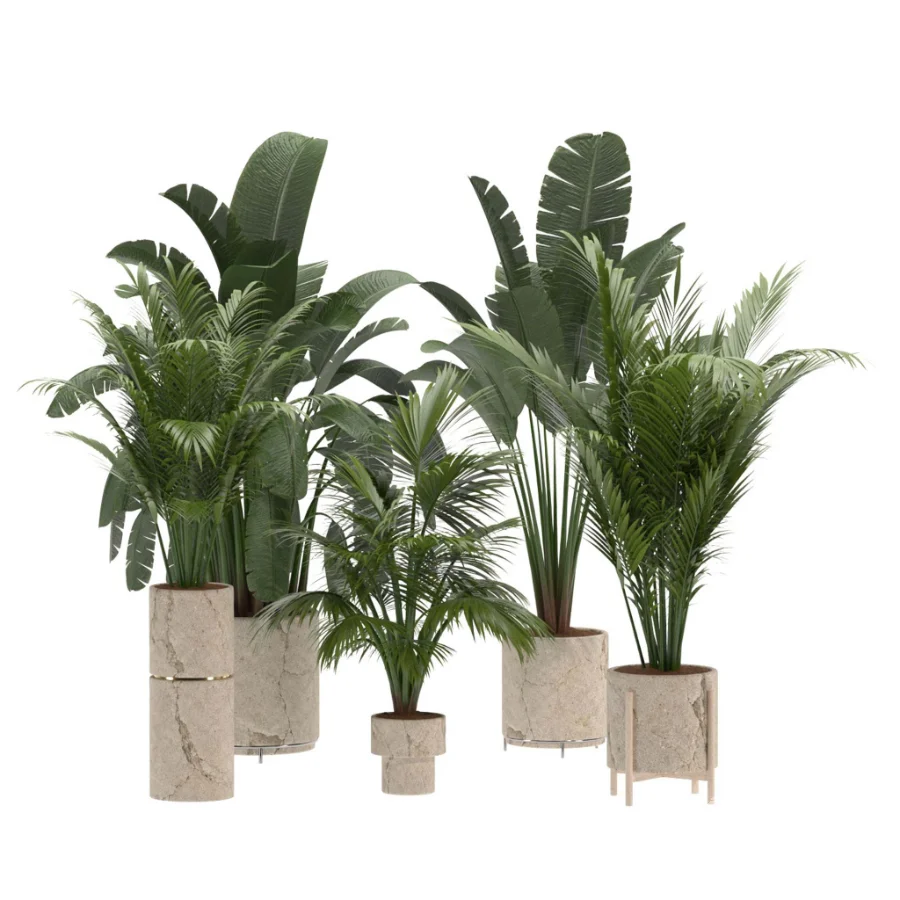 indoor-plant-023 - Image 2