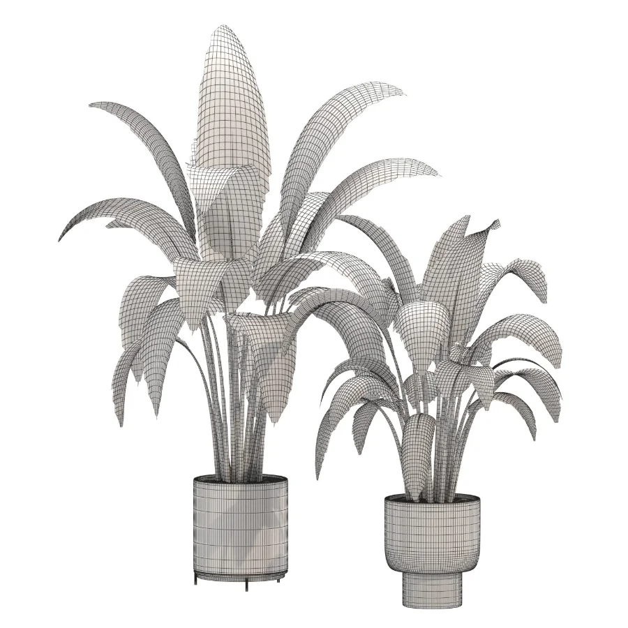 indoor-plant-025 - Image 4