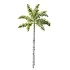 AV Plant Roystonea Regia Palm Tree 01 - Thumbnail 2