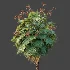 AV Plant Acoelorrhaphe Wrightii Palm Tree 01 - Thumbnail 6