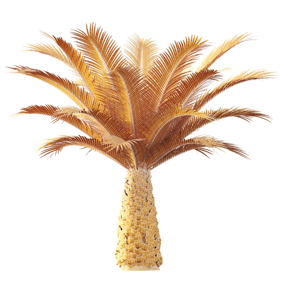 AV Plant Phoenix Canariensis Palm Tree 03 - Image 9