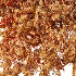 AV Plant Amygdalus Persica Peach Fruit Tree 01 - Thumbnail 10