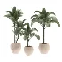 indoor-plant-026 - Thumbnail 2