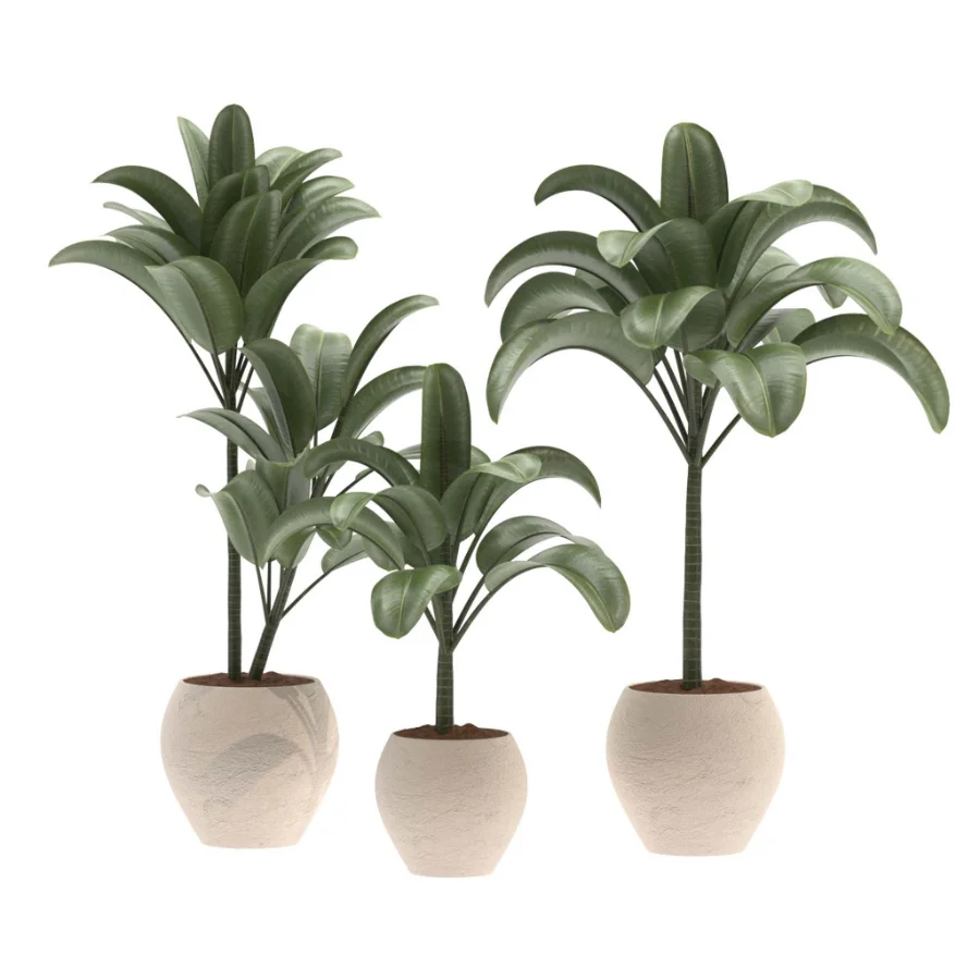 indoor-plant-026 - Image 2