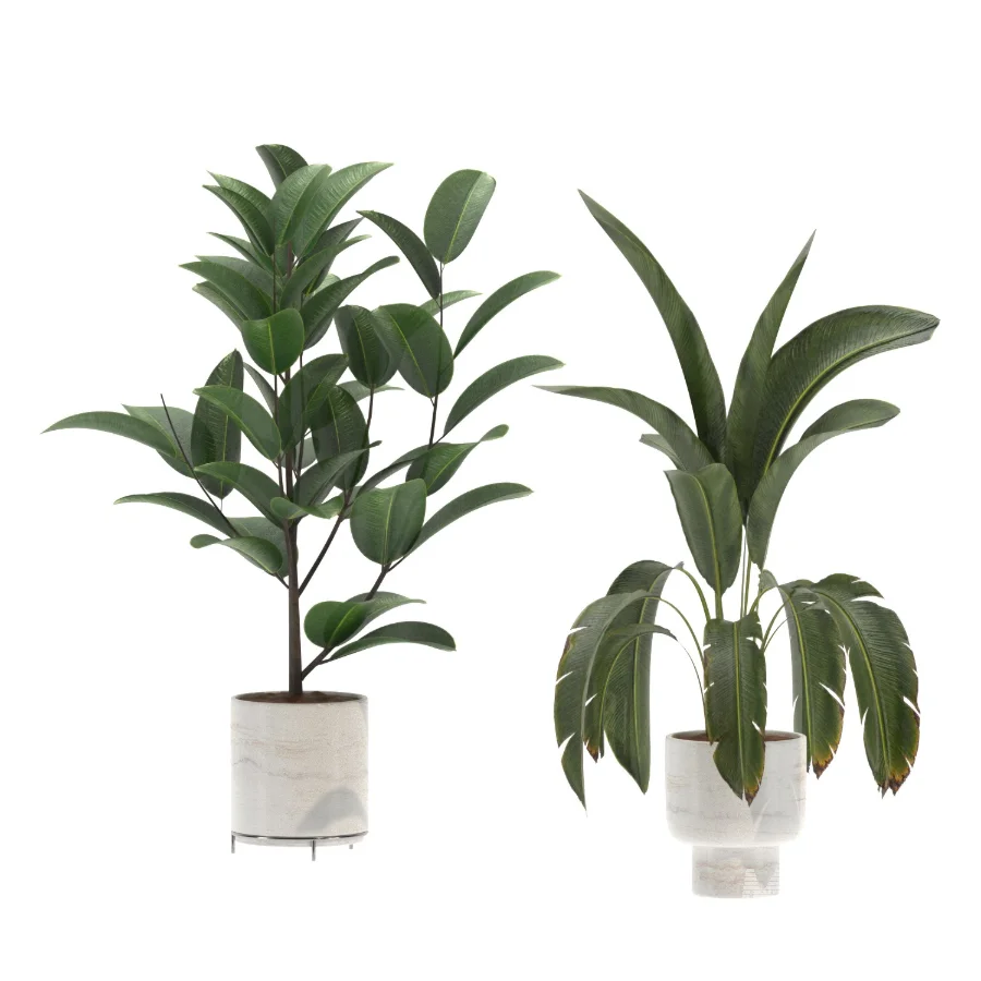 indoor-plant-018 - Image 1