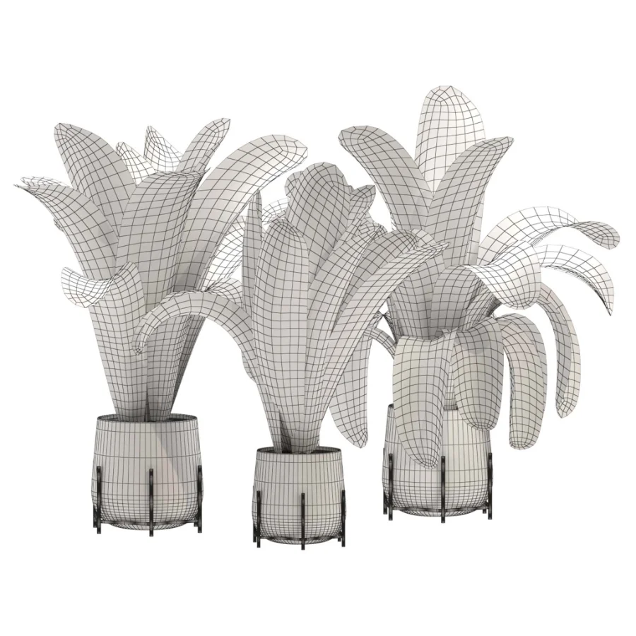 indoor-plant-016 - Image 2