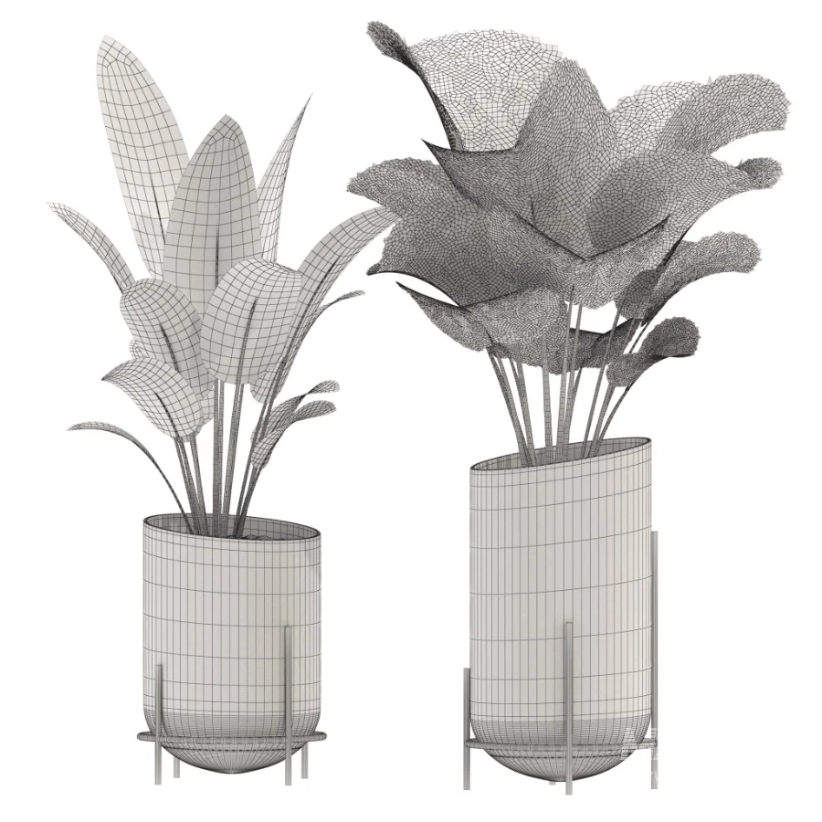 indoor-plant-011 - Image 3