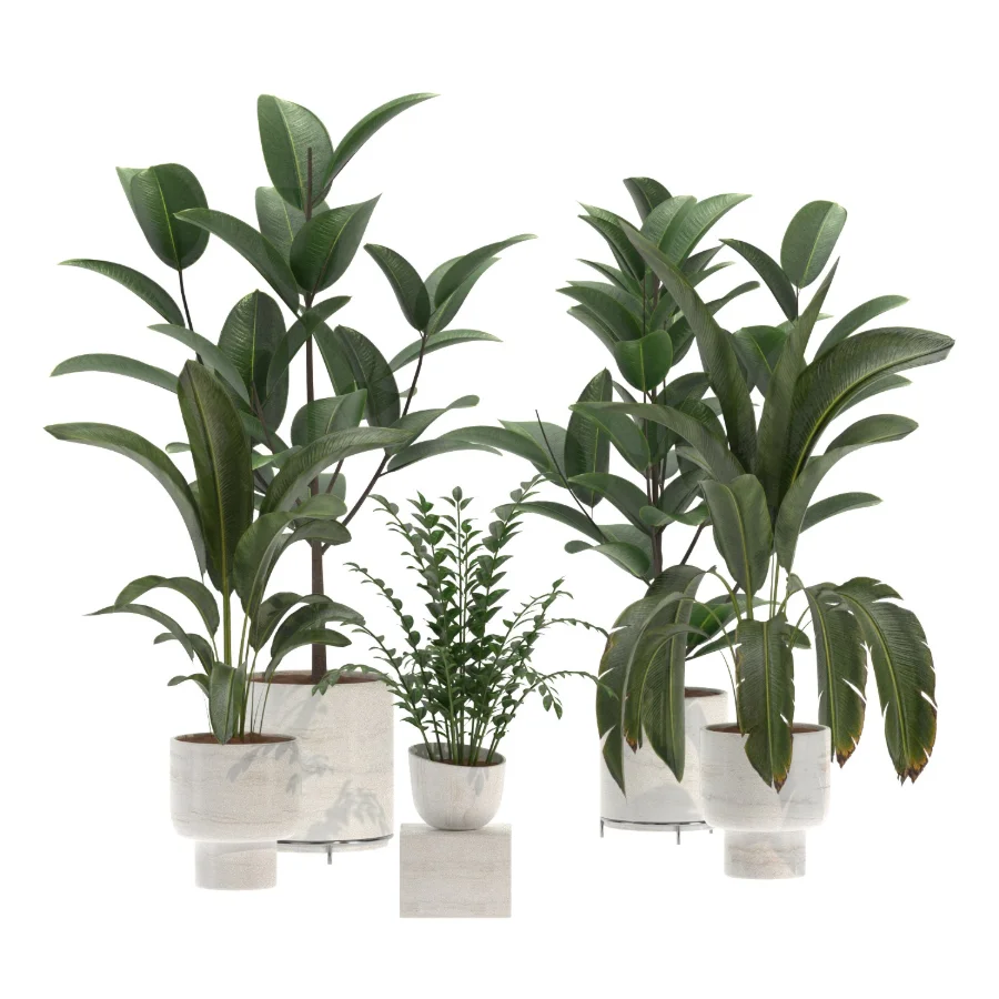 indoor-plant-018 - Image 3