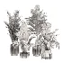 indoor-plant-014 - Thumbnail 3