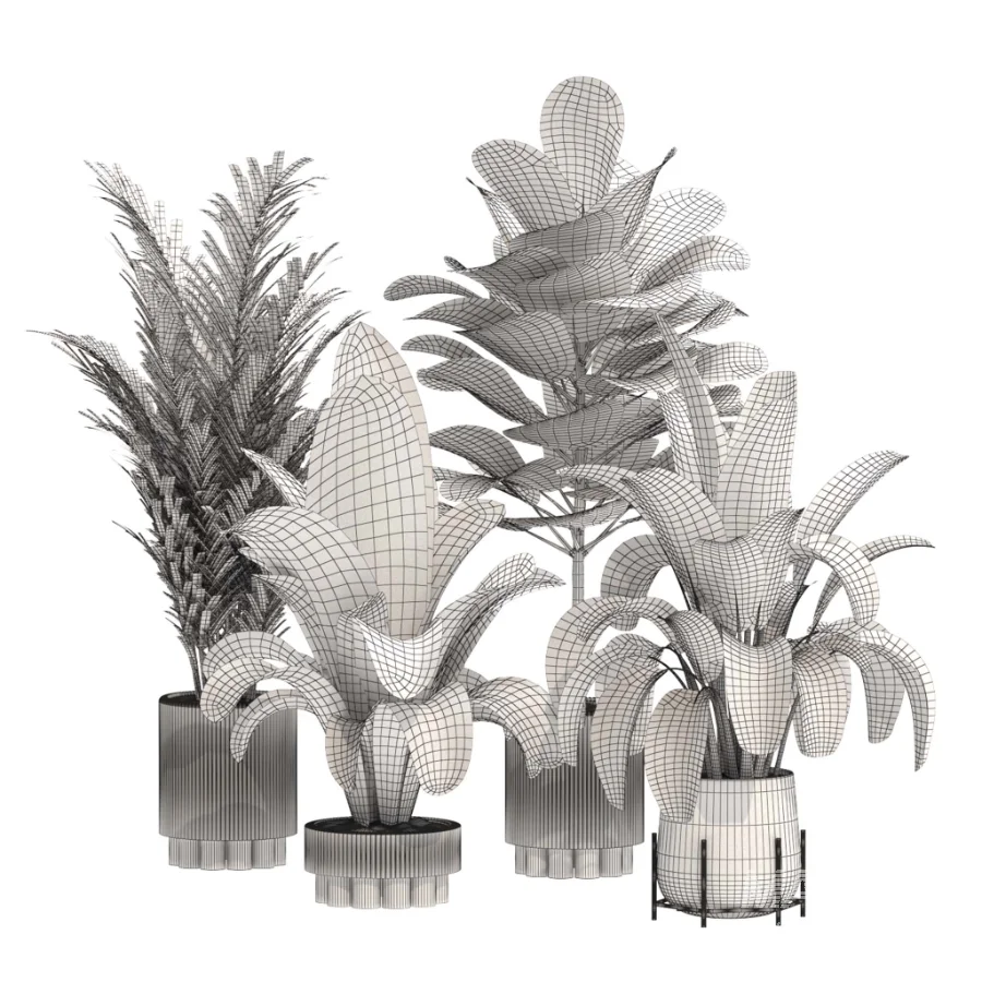 indoor-plant-014 - Image 3