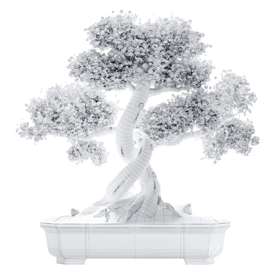 Bonsai Beauty 08 - Image 3