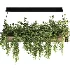 Hanging Plant 05 - Thumbnail 1