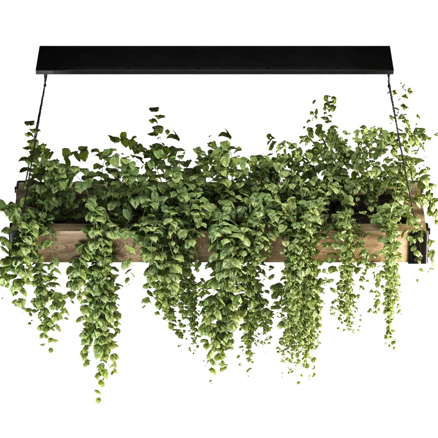 Hanging Plant 05 - Image 1