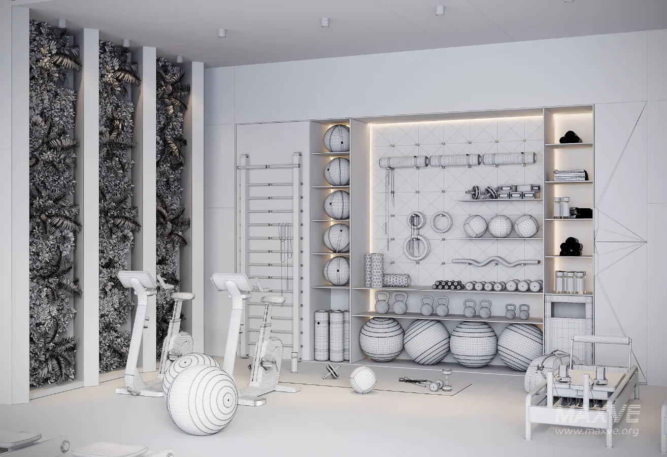 Modern Luxury Home Gym Interior 01 - Image 7