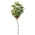 AV Plant Pritchardia Pacifica Palm Tree 03 - Thumbnail 2
