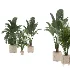 indoor-plant-023 - Thumbnail 1