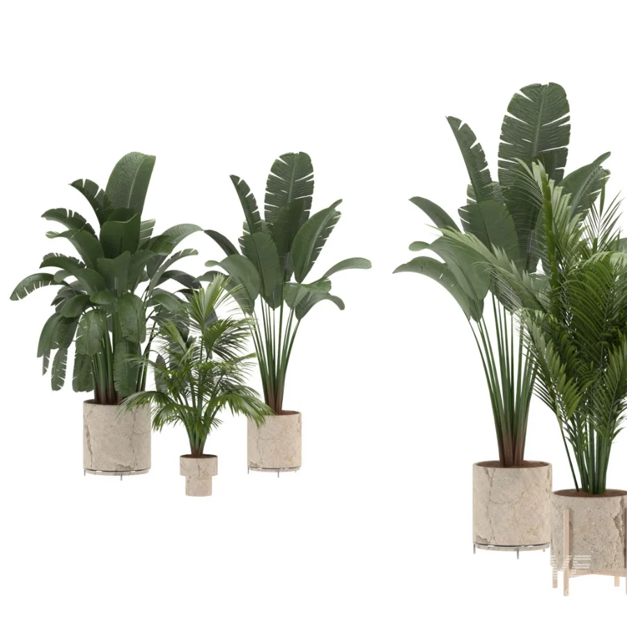 indoor-plant-023 - Image 1