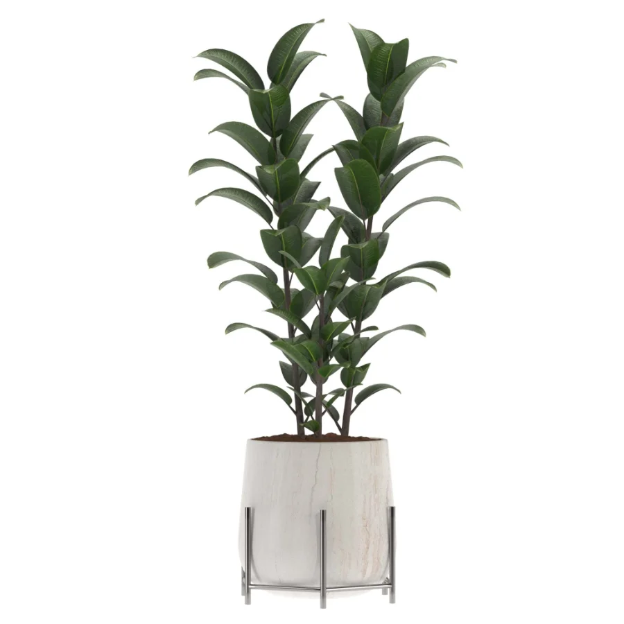 indoor-plant-009 - Image 1