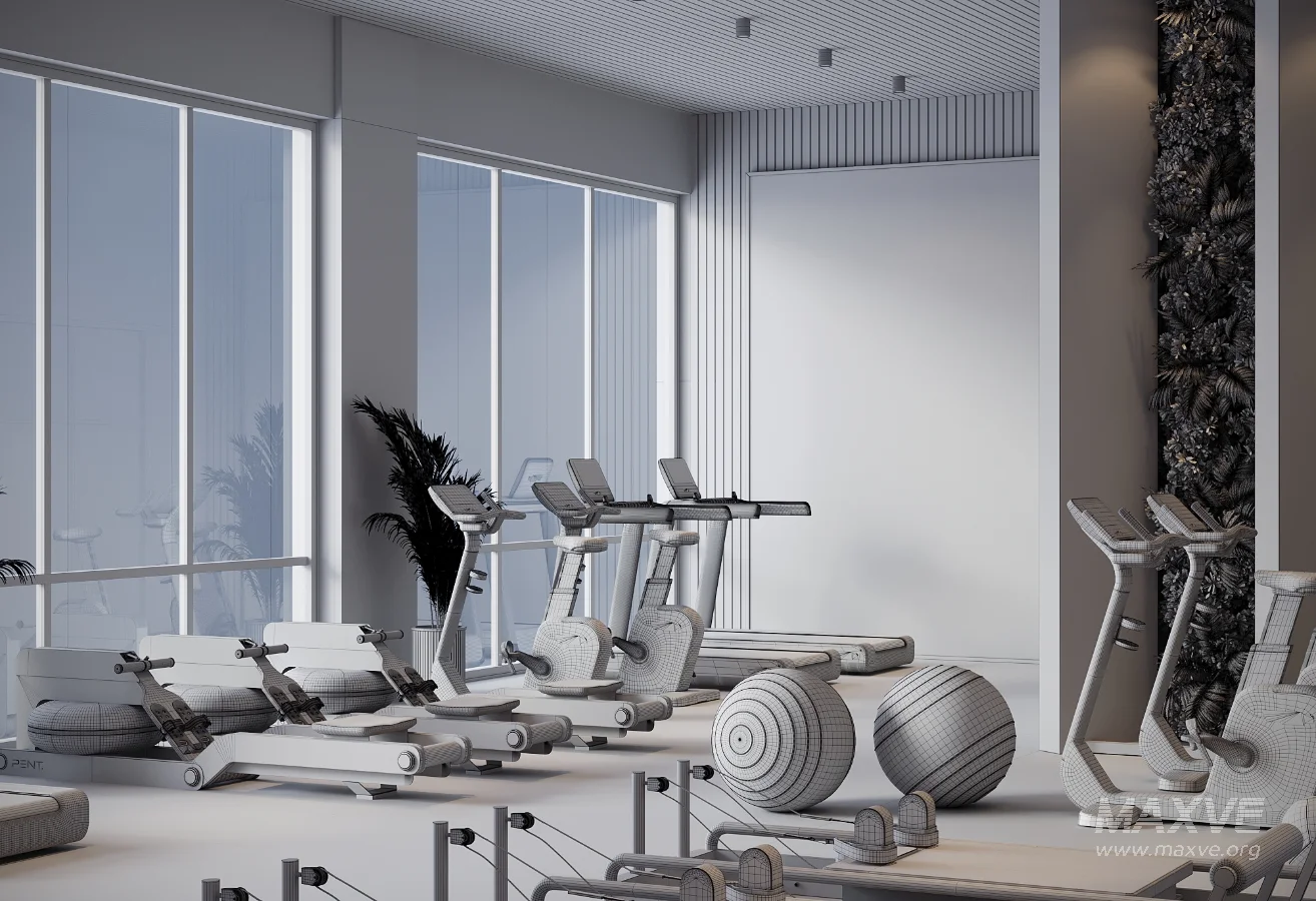 Modern Luxury Home Gym Interior 01 - Image 8