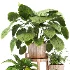 Planting Stand 01 - Thumbnail 5