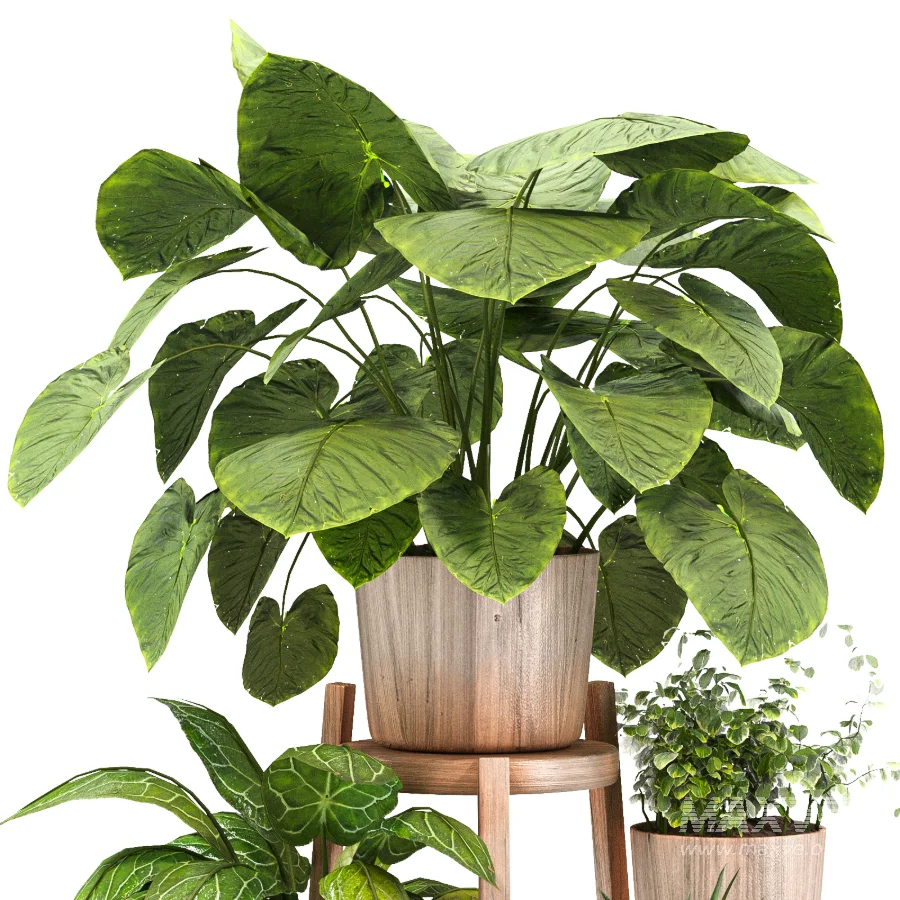 Planting Stand 01 - Image 5
