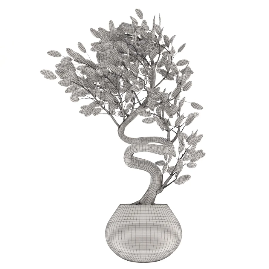 indoor-plant-012 - Image 3