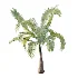 AV Plant Areca Catechu 6 Palm Trees 02 - Thumbnail 5