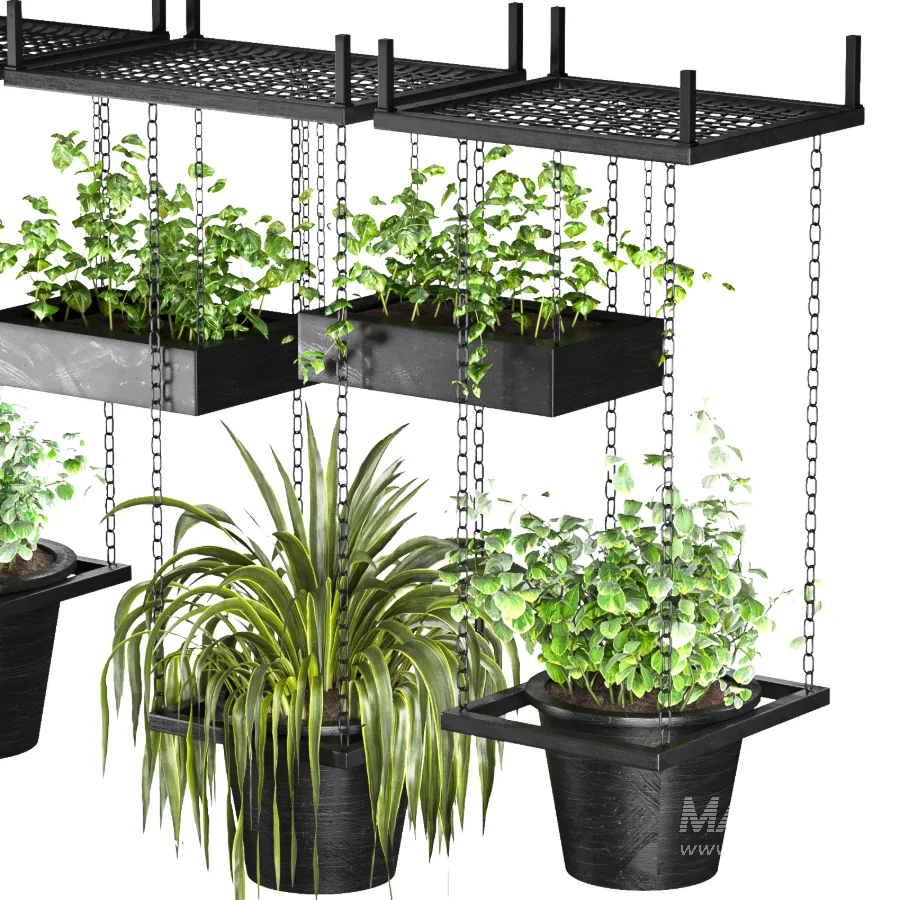 Hanging Plant 04 - Image 5
