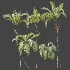AV Plant Areca Catechu 6 Palm Trees 02 - Thumbnail 10