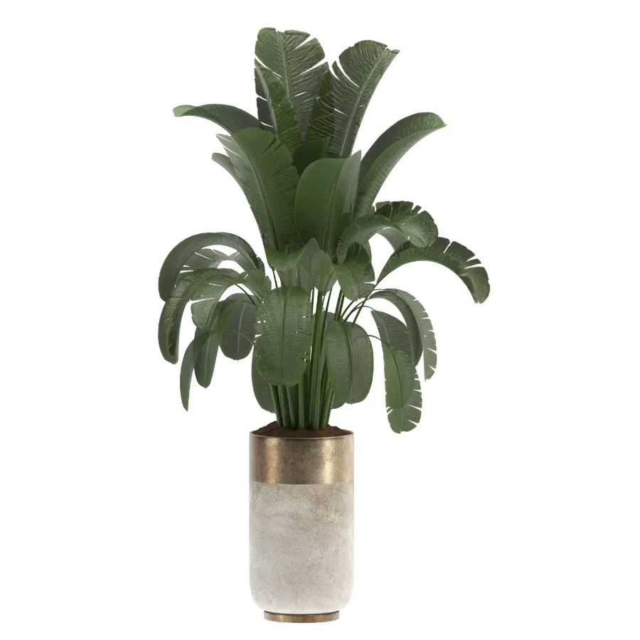 indoor-plant-016 - Image 2