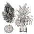 indoor-plant-013 - Thumbnail 3