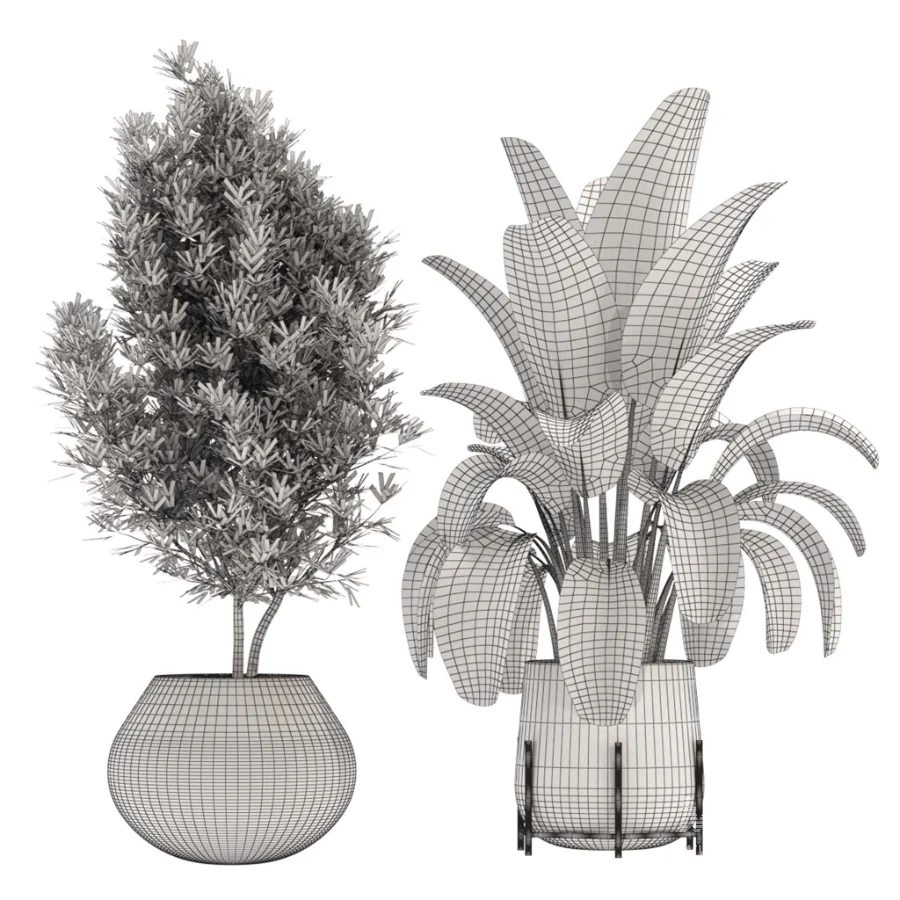 indoor-plant-013 - Image 3