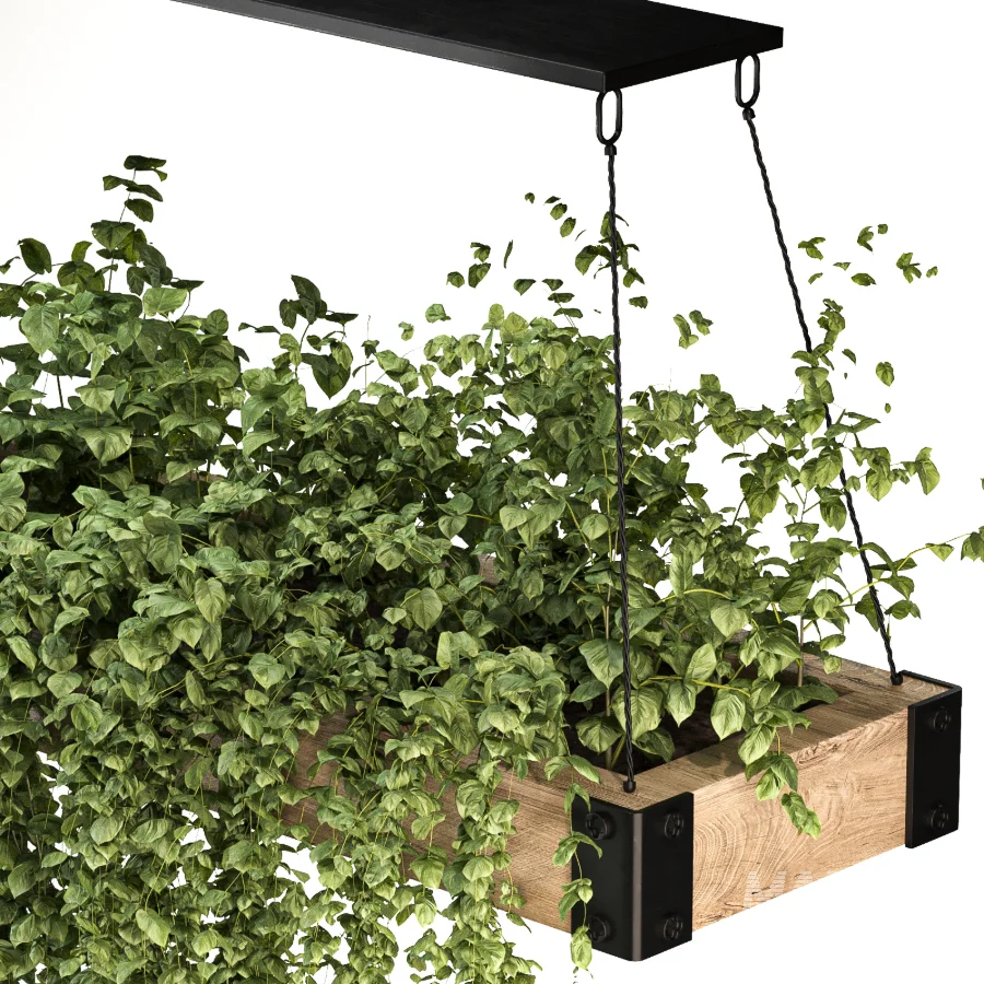 Hanging Plant 05 - Image 5