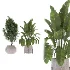 indoor-plant-013 - Thumbnail 1