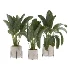 indoor-plant-016 - Thumbnail 1